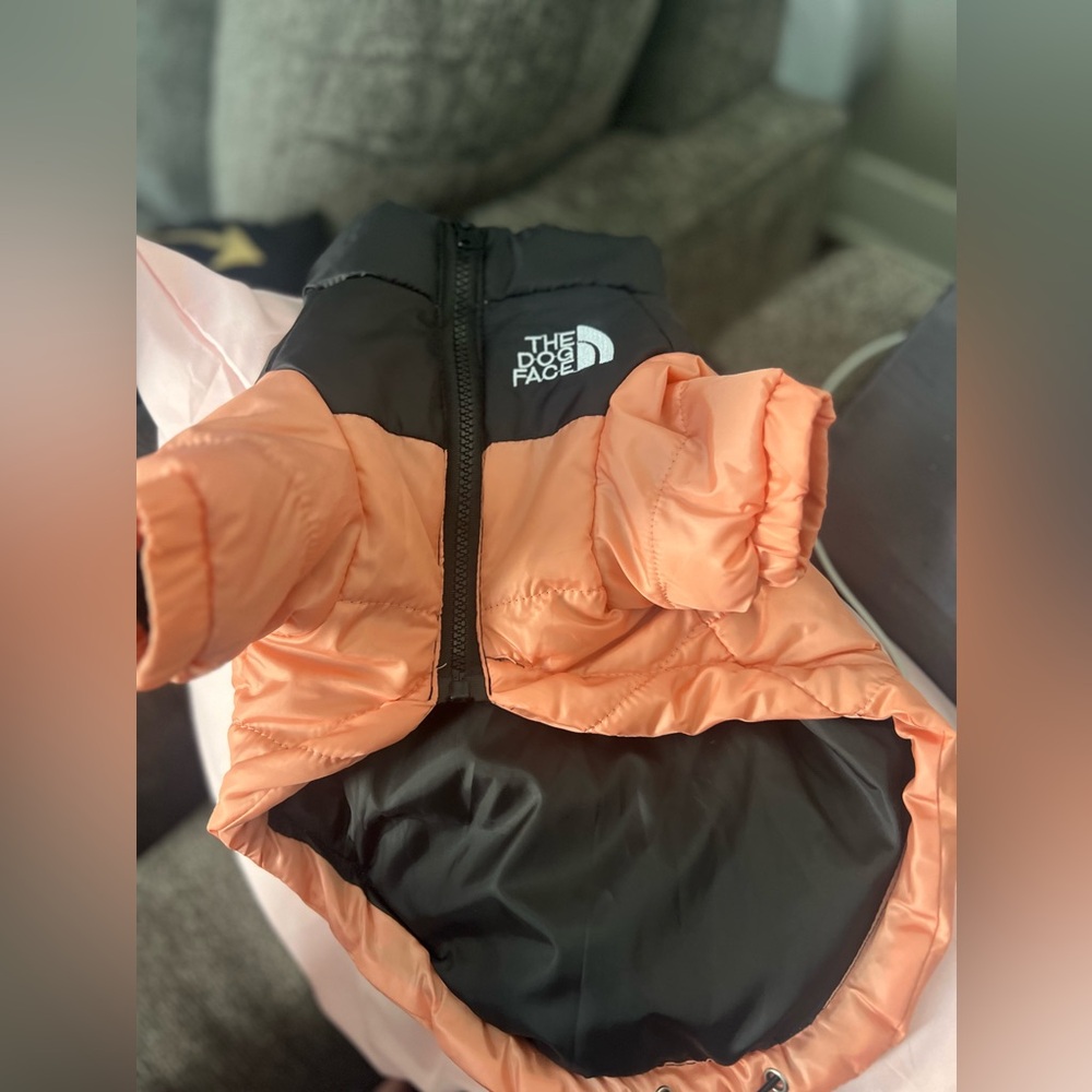 The Dog Facd jacket for dogs